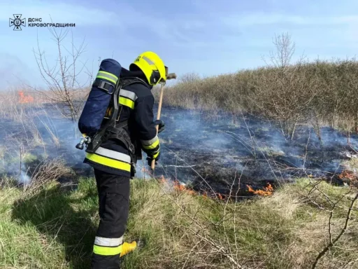 Кіровоградщина: за добу рятувальники загасили 16 пожеж сухої трави