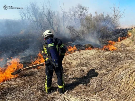На Кіровоградщині вигоріло більше 13 гектарів землі
