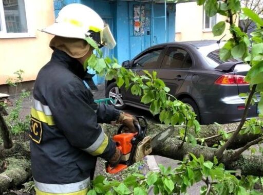 Негода повалила дерева на Кіровоградщині (ФОТО)