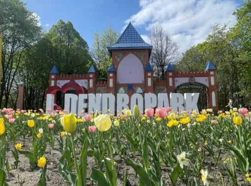 У Кропивницькому дендропарку розпочався сезон тюльпанів (ФОТОРЕПОРТАЖ) (ФОТОРЕПОРТАЖ, ФОТО)