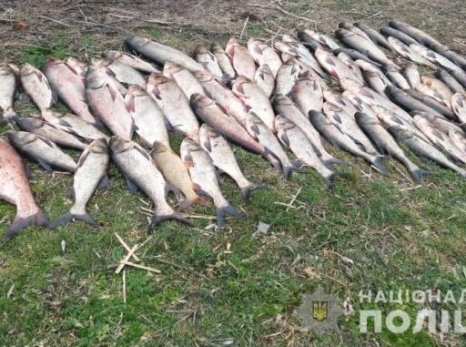 Мешканець Кіровоградщини незаконно наловив риби на 600 тисяч