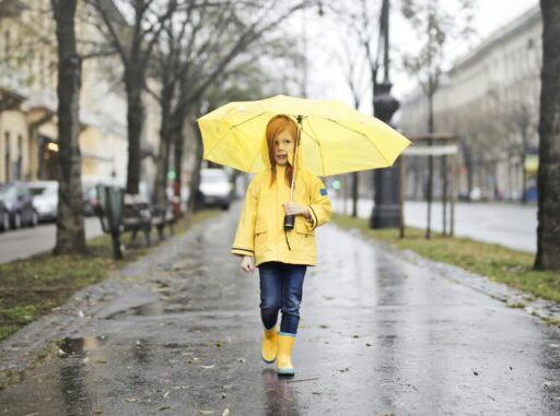 На Кіровоградщині прогнозують дощі