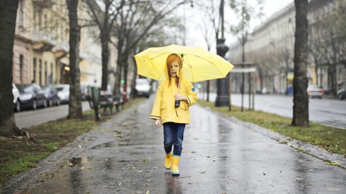 На Кіровоградщині прогнозують дощі