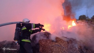 В Олександрійському районі ліквідовано одну пожежу на відкритій місцевості