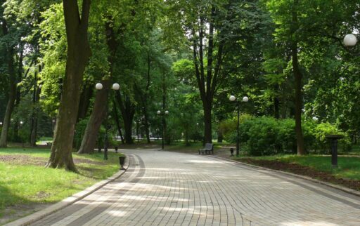 На Кіровоградщині за понад 5,4 мільйони гривень облаштують парк