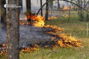 У Кіровоградській області заборонили відвідувати ліси та розводити багаття